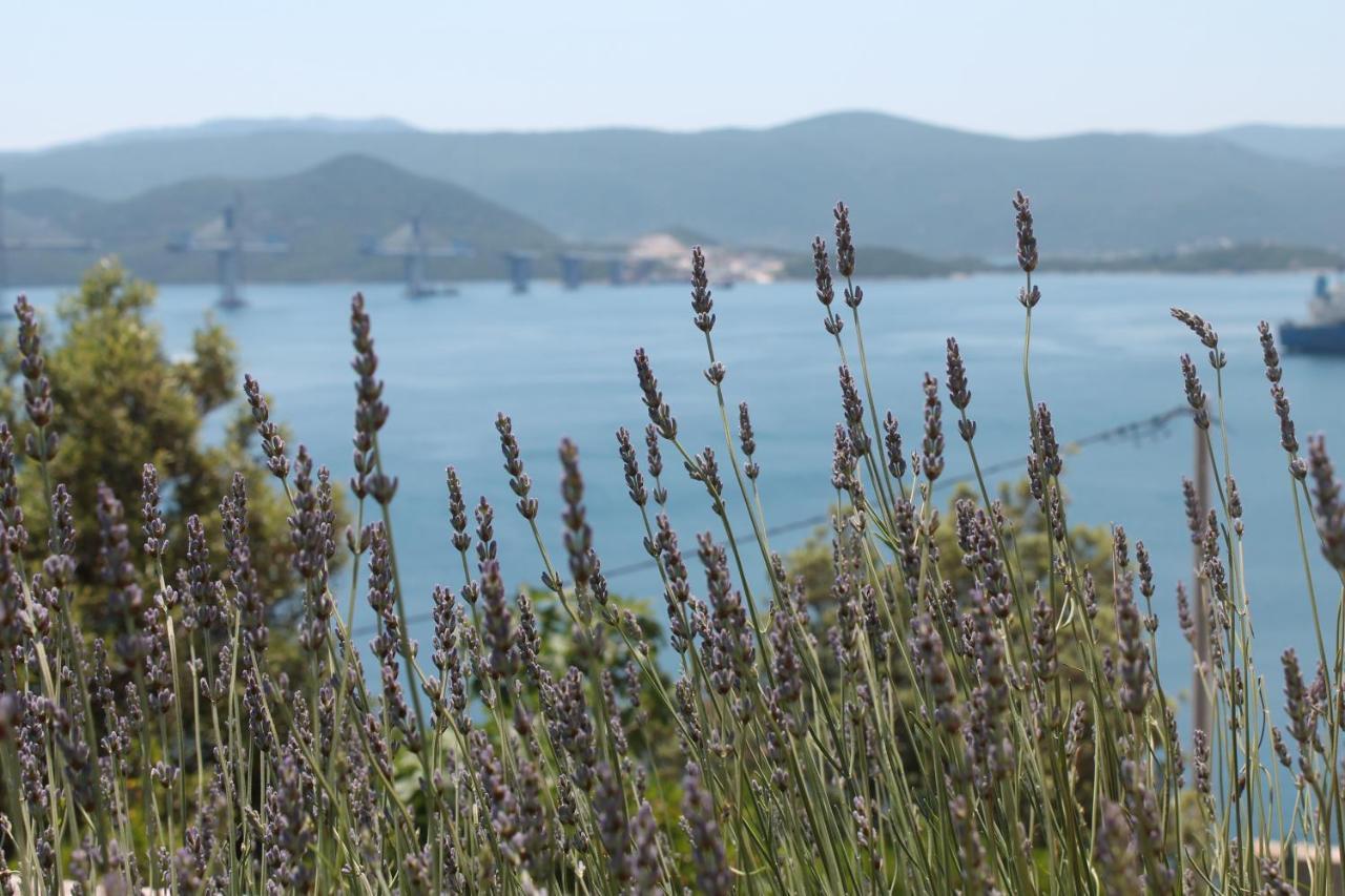 Appartamento Bella Vista Komarna Esterno foto